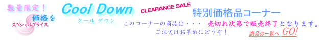 �v���[���g�b���蕨�̂��X�@���i���N�[���_�E���@���ʉ��i�i�R�[�i�[