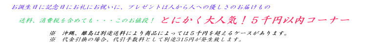 �v���[���g�b���蕨�̂��X�@�T��~�ȓ��R�[�i�[